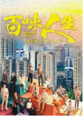 雾港夜航 热播剧集在线观看